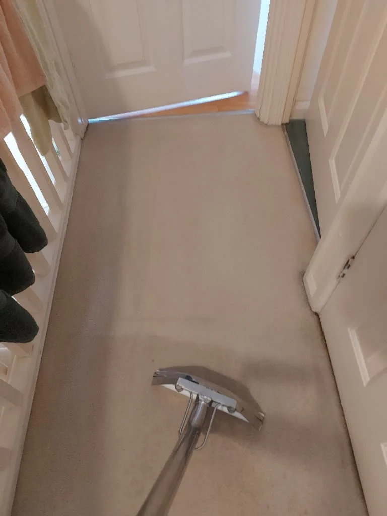 Images Titanium Cleaning