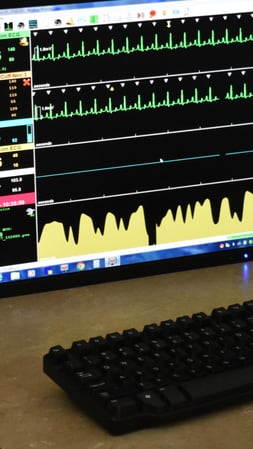 Images Bingle Veterinary Clinic