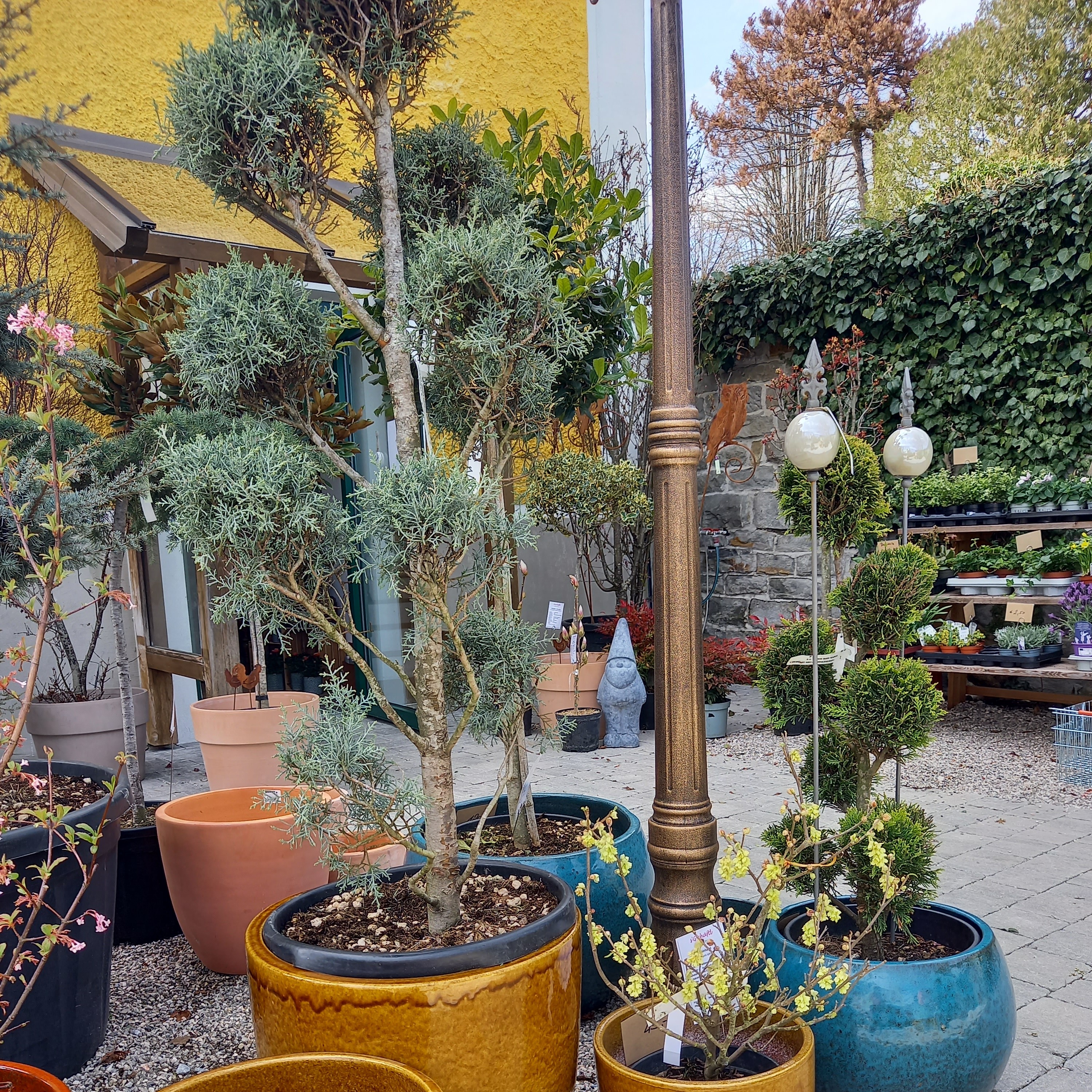 Bild 25 von Grün-Zone