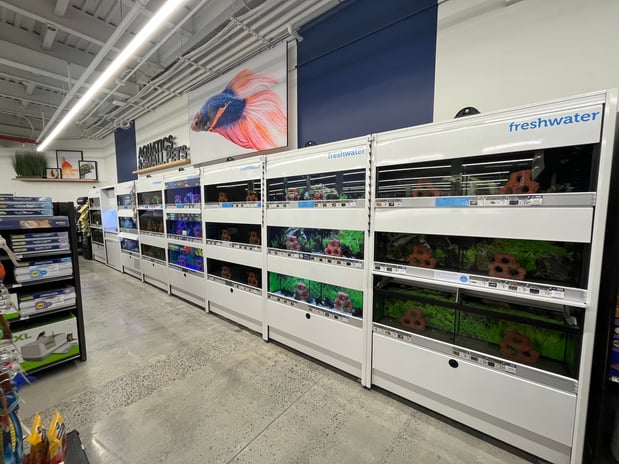 Images Petco