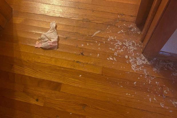 Images First Response Restoration, Water Damage Minneapolis Specialist