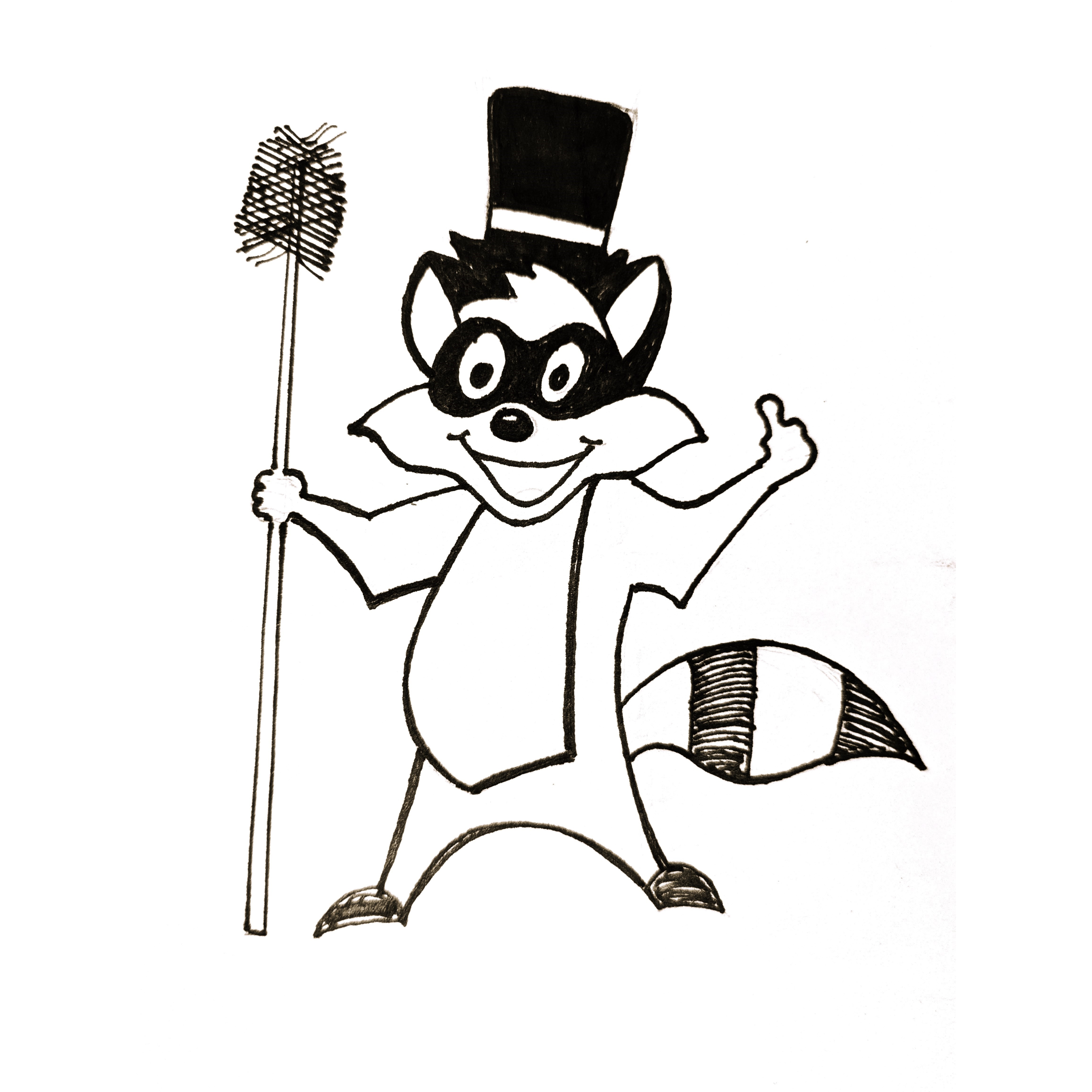 Country Sweeps Chimney Service