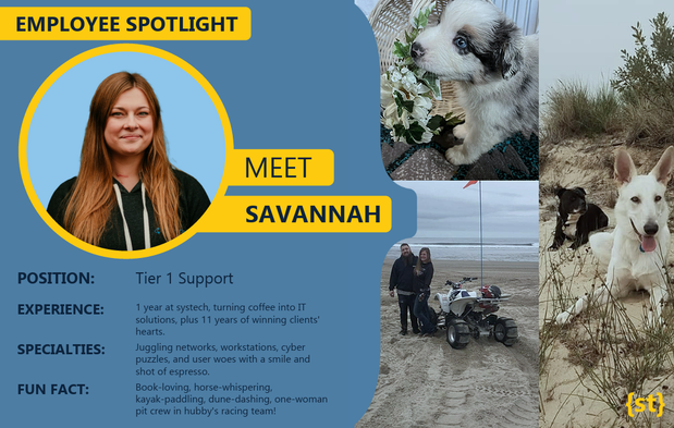 Images Systech Consulting