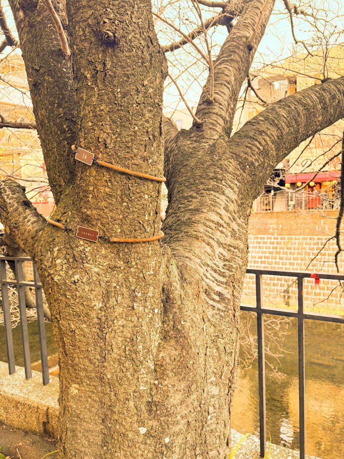 Images 横浜の大衆焼肉 弘明寺駅前店