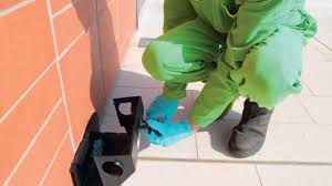 Images C. e C. Multiservice