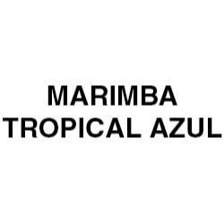 Marimba Tropical Azul México DF