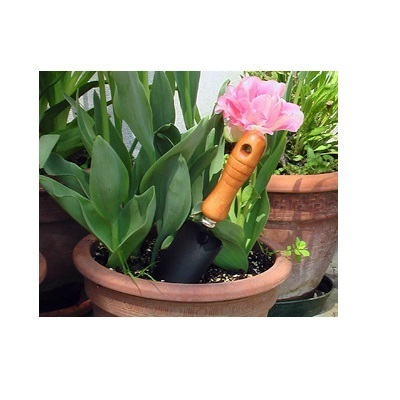 Images Evergreen Garden Center