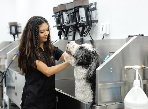 Images Sparkle Grooming Co.