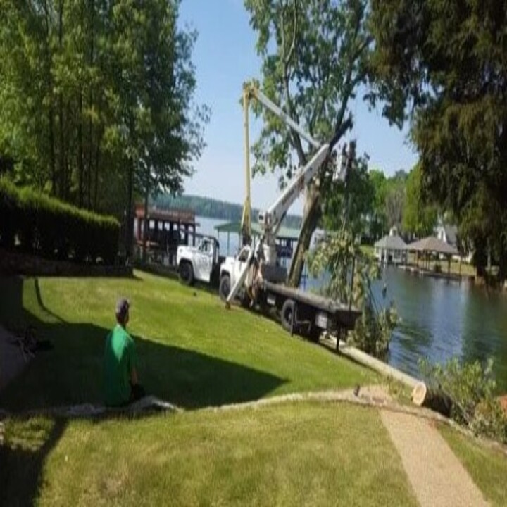 Images Childress Complete Tree Service