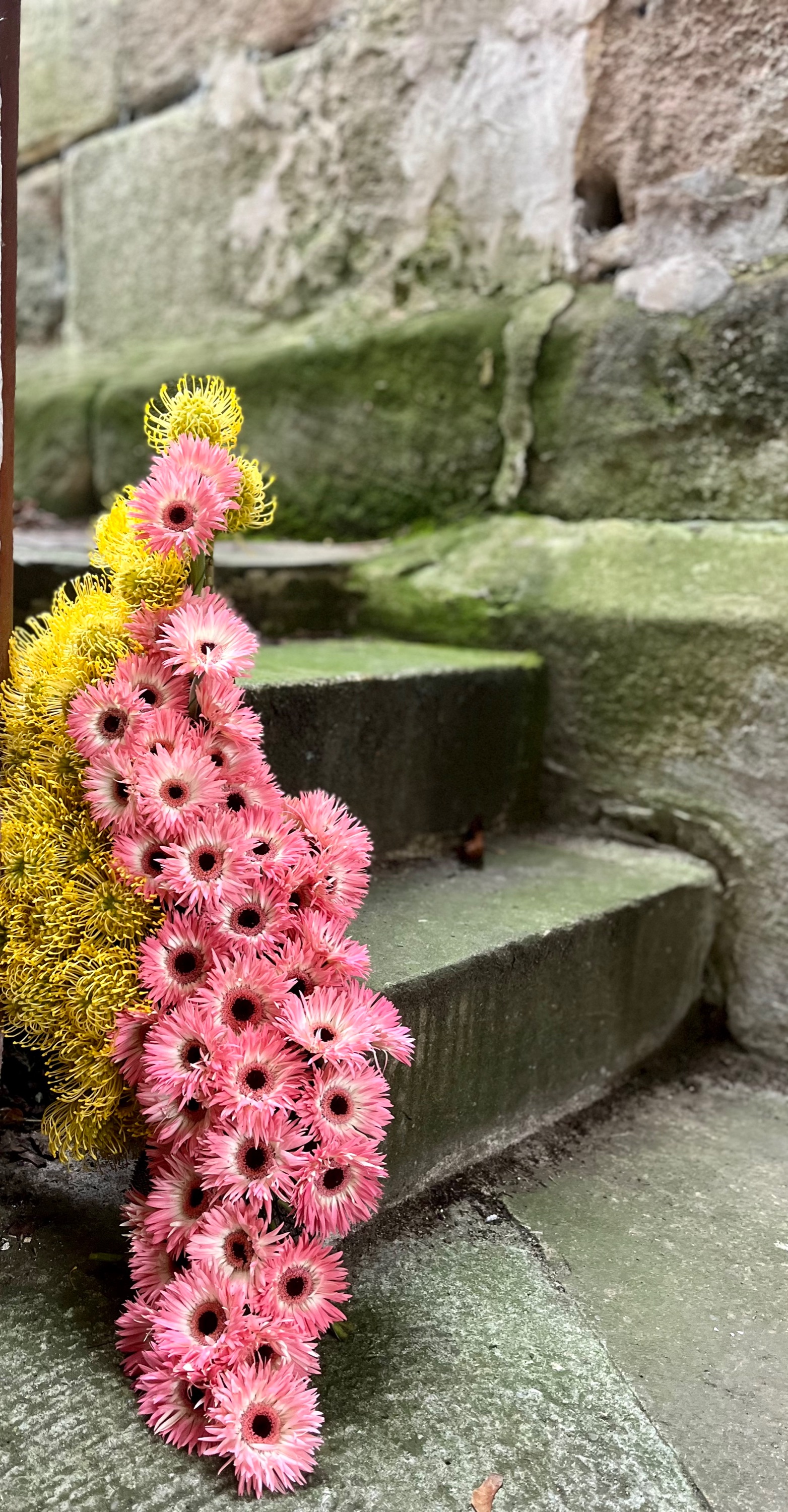 Bev Blooms, Laufamholzstraße 5 in Nürnberg