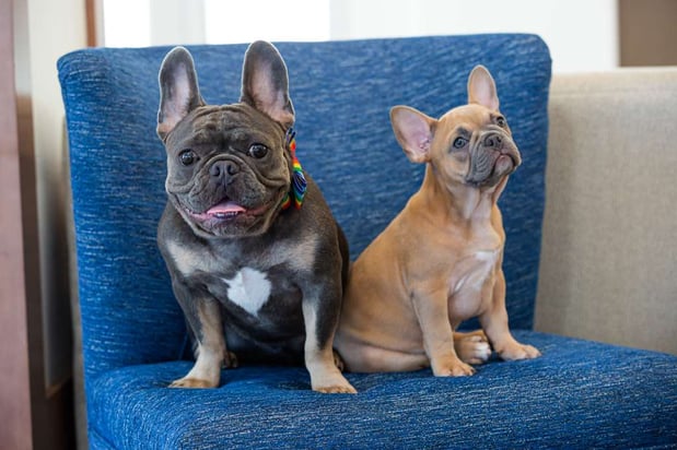 Images Hilton Garden Inn Salt Lake City Airport