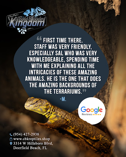 Images Cold Blooded Kingdom