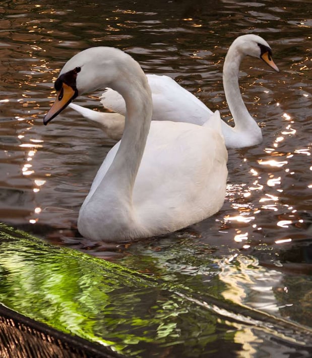 Images Embassy Suites by Hilton Las Vegas