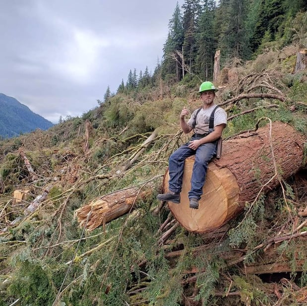 Images Mansfield Tree Services LLC