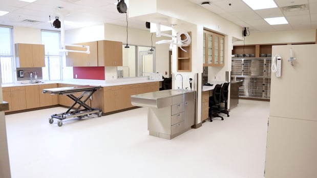 Images VCA Mainland Animal Hospital