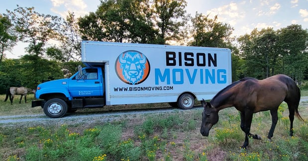Images Bison Moving Tulsa