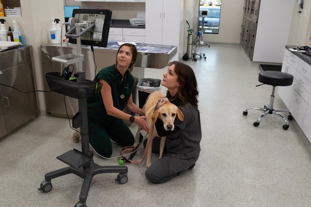 Images Furgent Care Vet