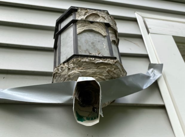 Images All-Pro Pest Control