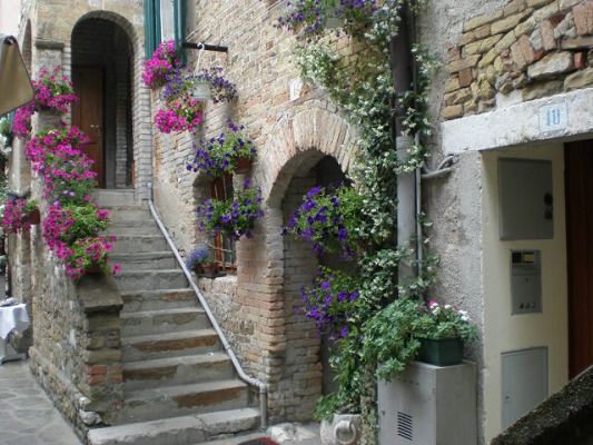 Images Ristorante Taverna al Canevon