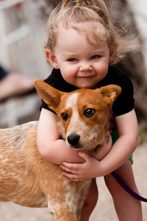 Images Purina Farms