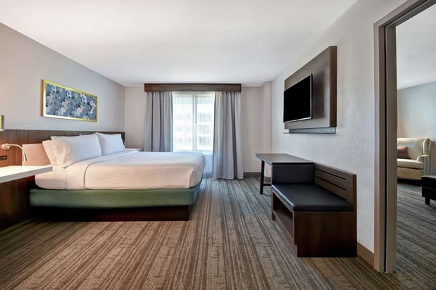 Images Hilton Garden Inn Houston/Galleria Area