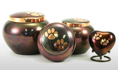 Cremation service in Oviedo, FL