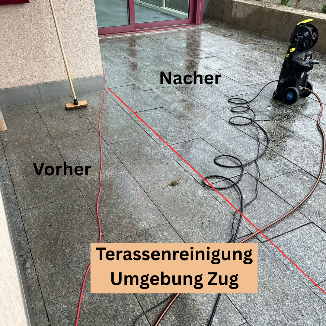 Bilder Sopa Reinigung