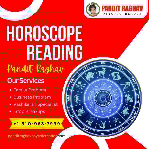 Images Pandit Raghav Psychic Reader Indian astrologer