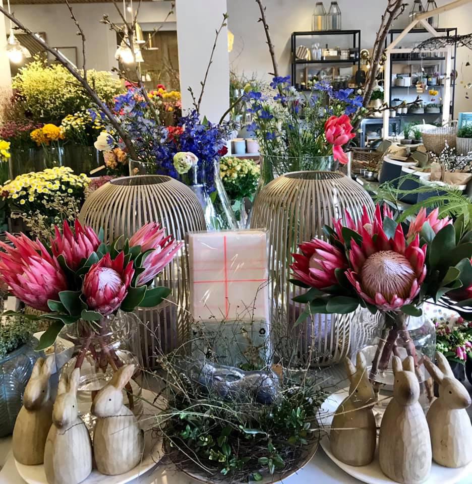 bluamaundmeh, Ketschelenstraße 1 in Feldkirch