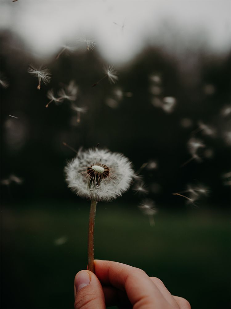 Bestattungsinstitut Stallmann Inhaber Andreas Somm …