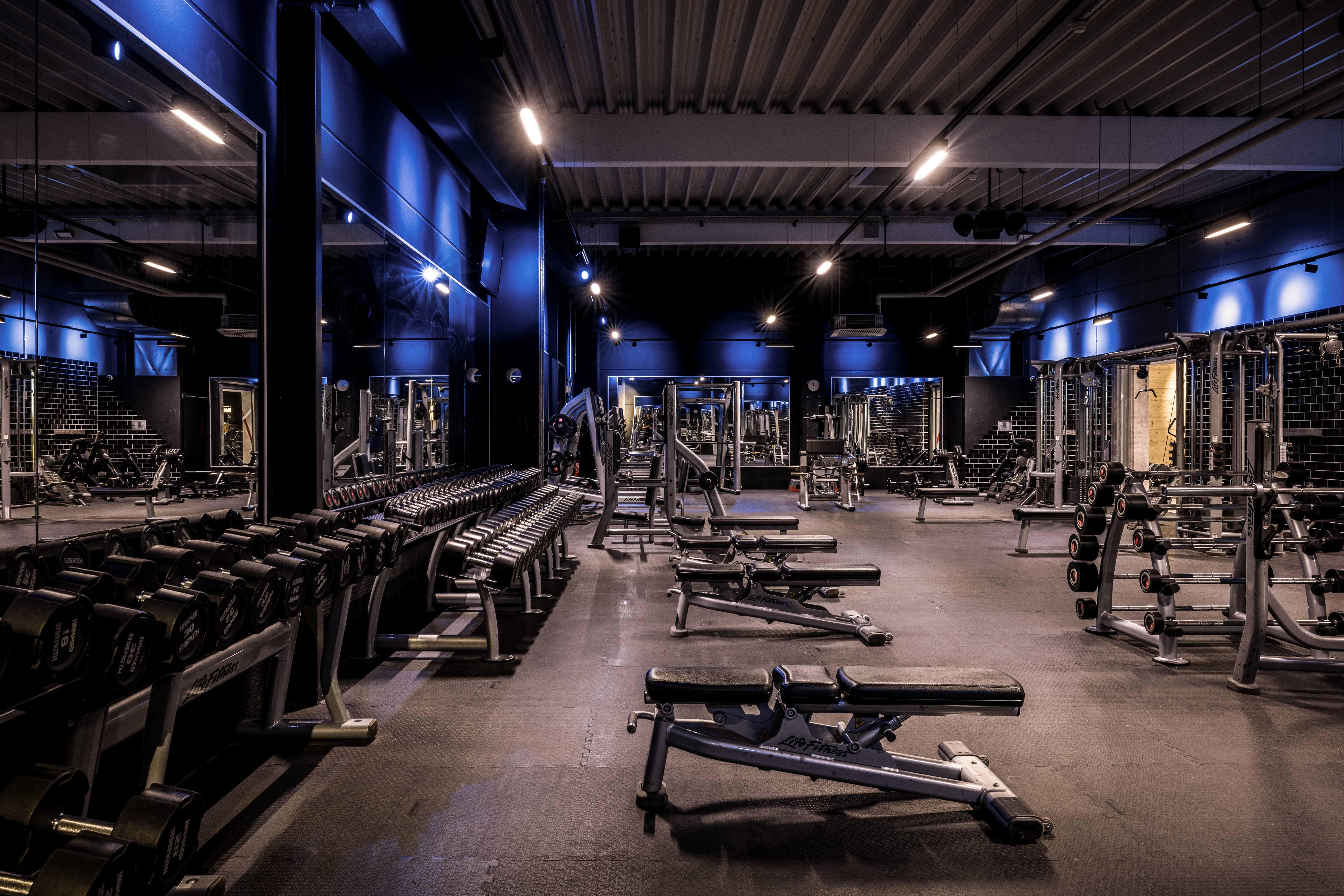 Fitness First Backnang in Backnang - Logo