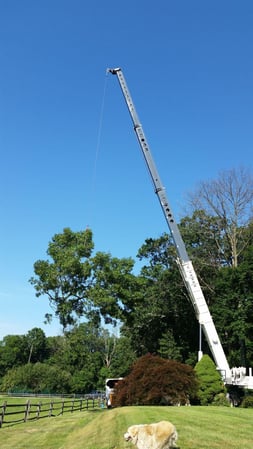 Images Keil Tree Experts Inc