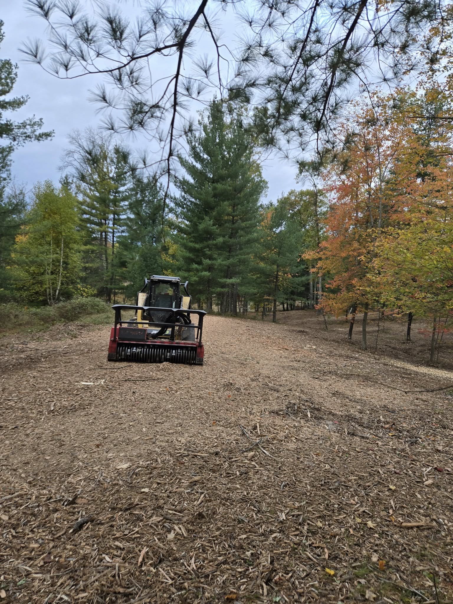 TK Land Management LLC Image