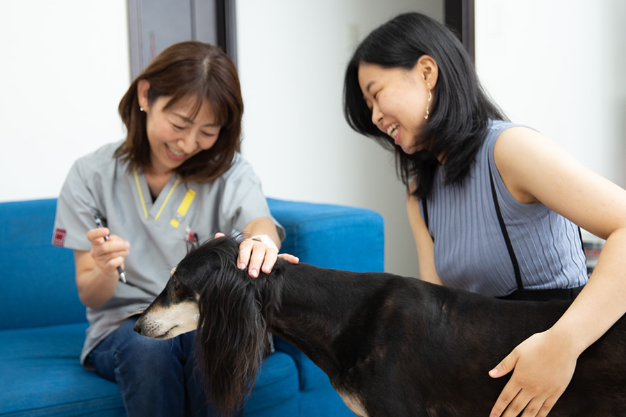 Images メープルファミリー動物病院