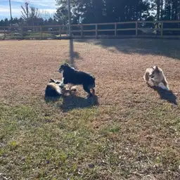 Sniffspot Yolistone Image