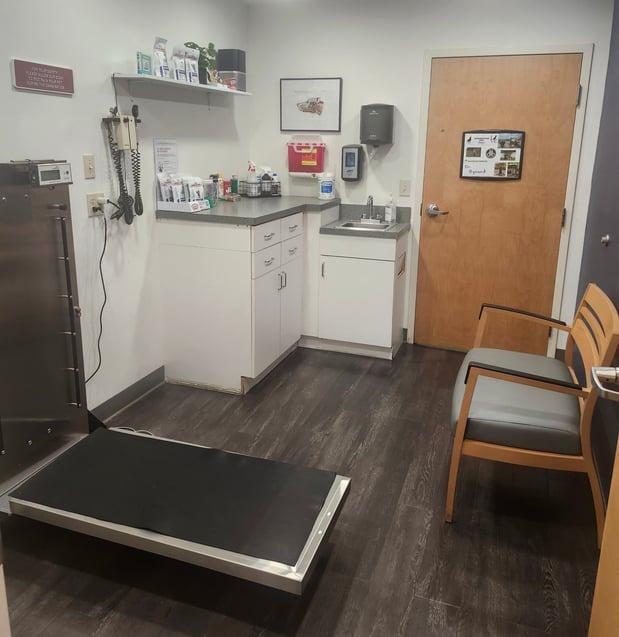 Images VCA AVH Animal Hospital