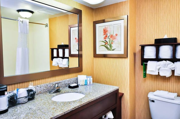 Images Hampton Inn Carrollton