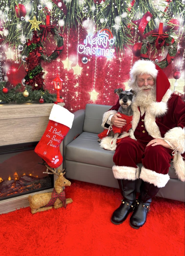 The Dog Stop - Katy Image