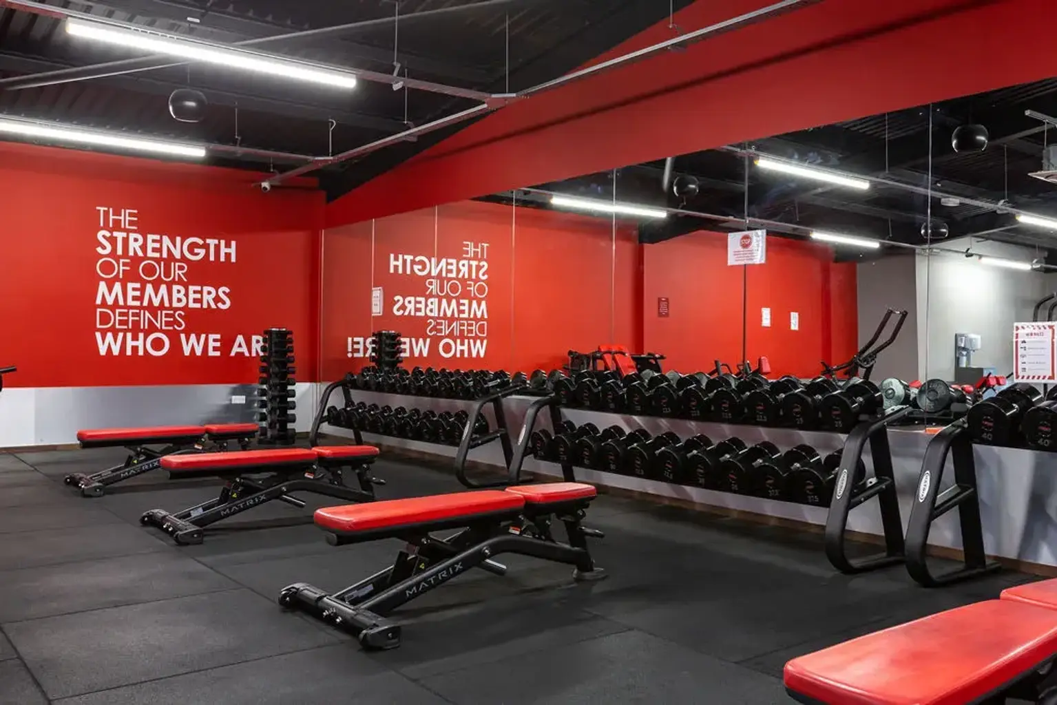 Free Weights Area