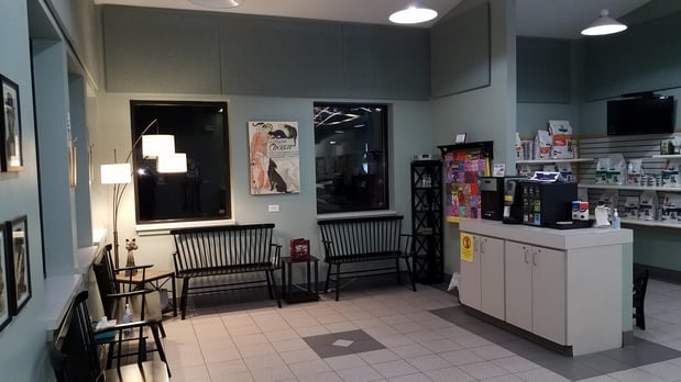 Images VCA Stoney Creek Animal Hospital