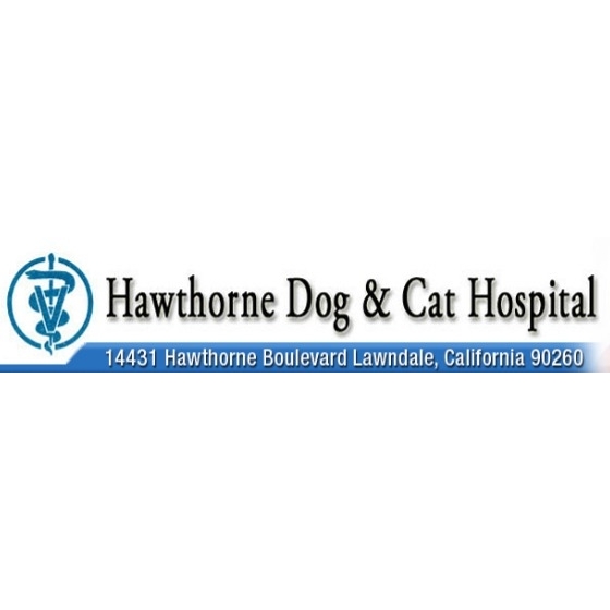 Hawthorne Dog & Cat