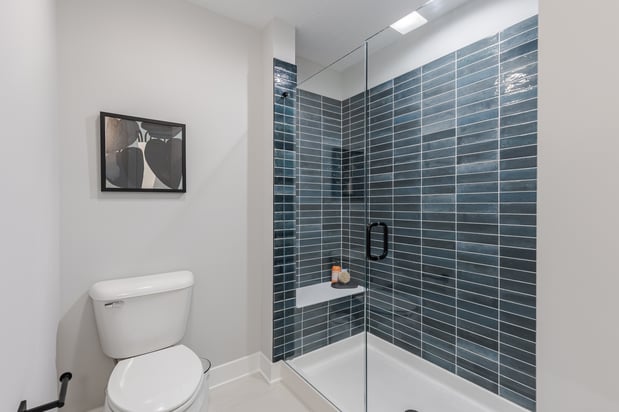 Images Hidden Lanes at Hobbs Station by Taylor Morrison