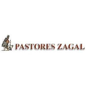 Pastores Eléctricos Zagal León