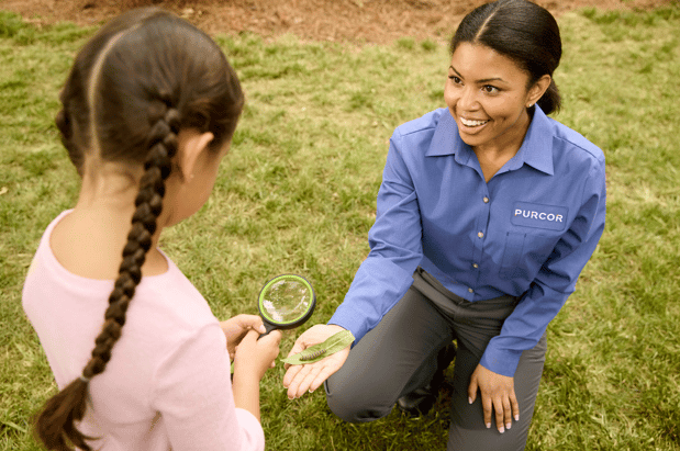 Images PURCOR Pest Solutions