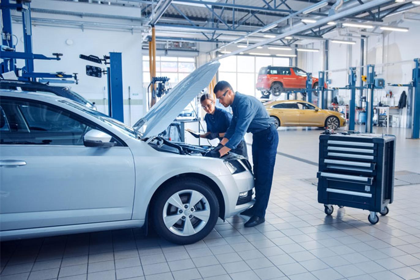 Images Bjørn Berge AS