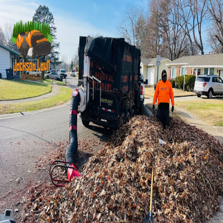 Images Jackson Lawn Services LLC