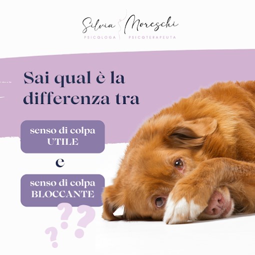 Images Dott.ssa Moreschi Silvia Psicologa