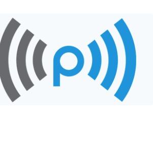 Ping Marketing Logo