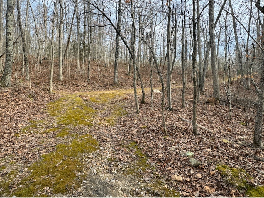 Arkansas land buyers