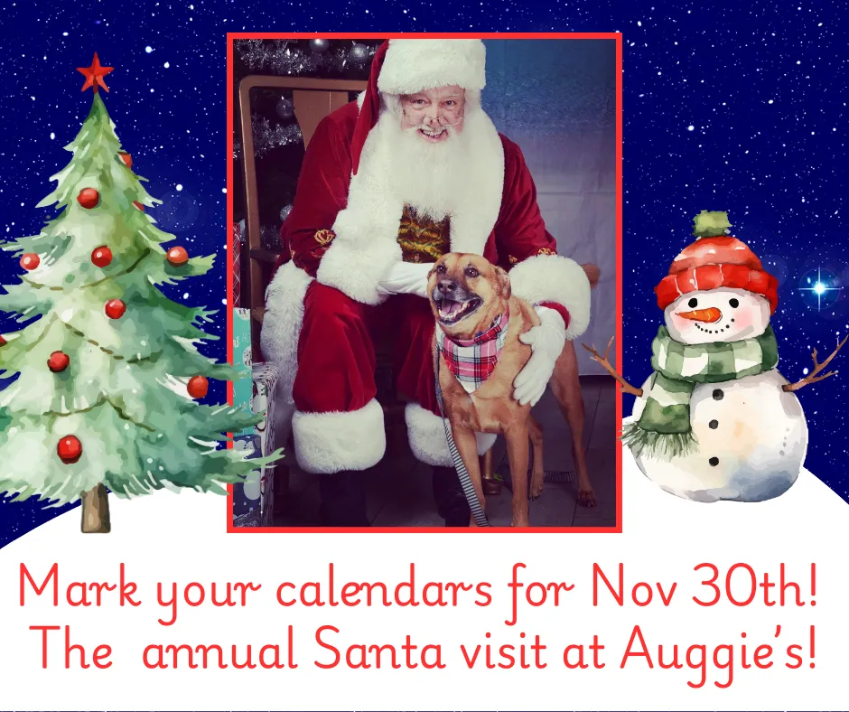 Image of Local Pet Event HO, HO, HO, Santa Returns, FREE pet photos with Santa Nearby